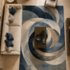 astral-vortex-luxury-hand-knotted-wool-silk-carpet (1)