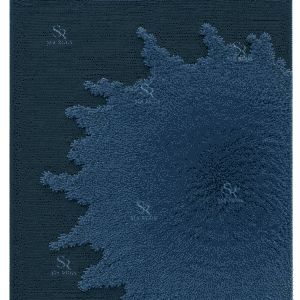 midnight-bloom-sculptural-high-low-shag-rug (3)