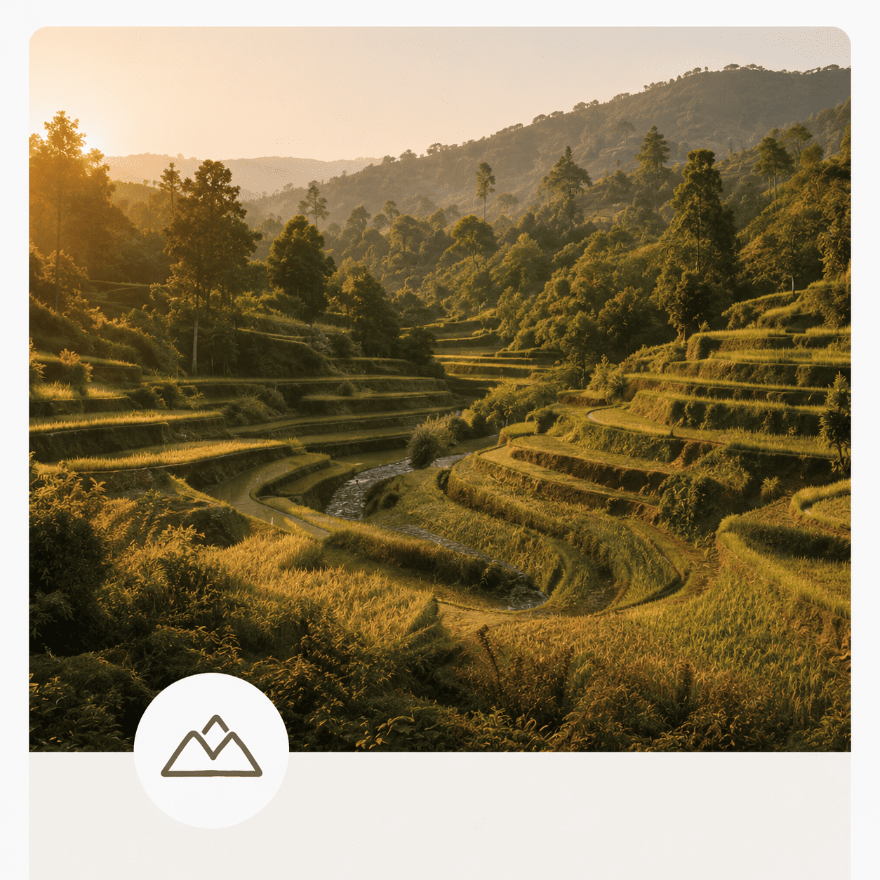 Landscapes & Places